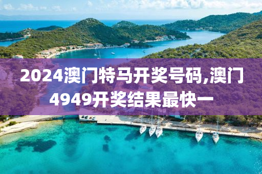 2024澳门特马开奖号码,澳门4949开奖结果最快一