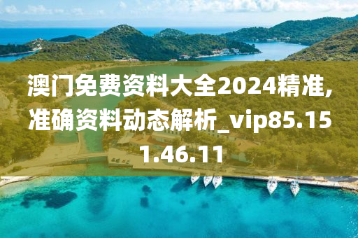 澳门免费资料大全2024精准,准确资料动态解析_vip85.151.46.11