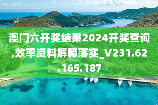 澳门六开奖结果2024开奖查询,效率资料解释落实_V231.62.165.187