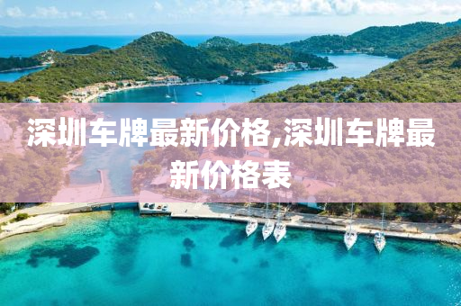 深圳车牌最新价格,深圳车牌最新价格表