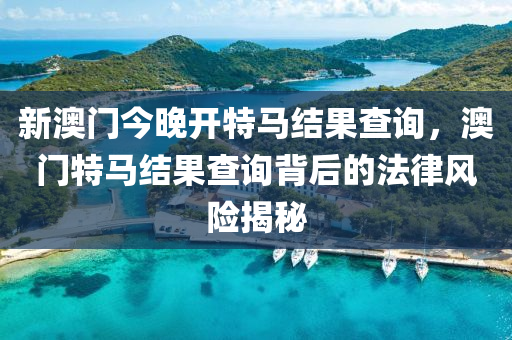 新澳门今晚开特马结果查询，澳门特马结果查询背后的法律风险揭秘