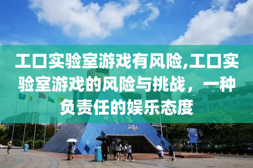 工口实验室游戏有风险,工口实验室游戏的风险与挑战，一种负责任的娱乐态度