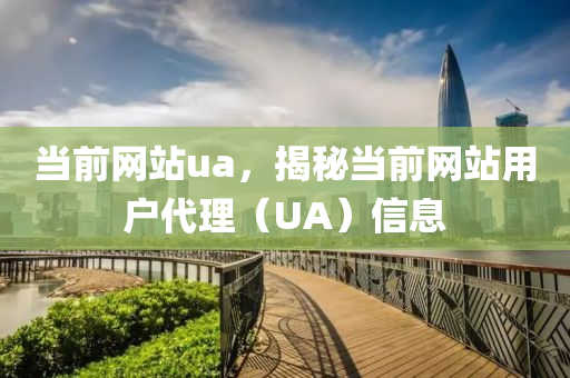 当前网站ua，揭秘当前网站用户代理（UA）信息